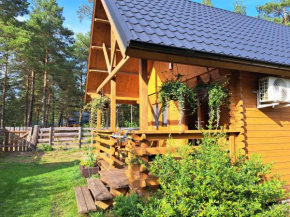 Lesne Runo Borsk in Borsk